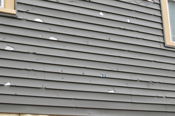Best Stone Veneer Siding  in Seven Mile, AZ