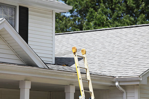 Best Siding Painting and Refinishing  in Seven Mile, AZ